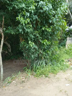 A 3 Bed Room Bungalow Property Fenced With Borehole