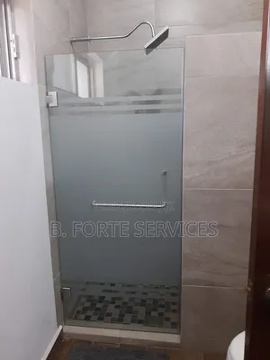 Hinged Shower Door