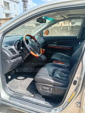 Lexus RX 350 2007 Silver