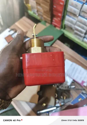 Flow Switch