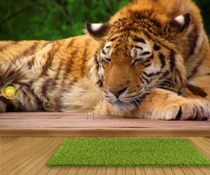 5d Wall Mural