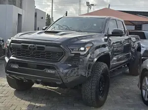 Toyota Tacoma 2024 Gray