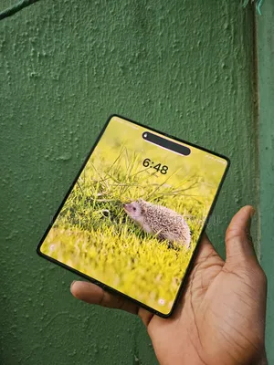 Samsung Galaxy Z Fold4 256 GB Black