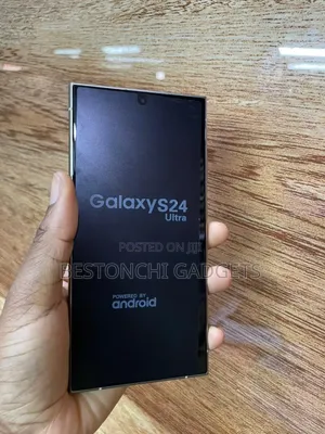 Samsung Galaxy S24 Ultra 256 GB Gray