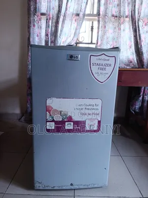 Lg Stabilizer Free Refrigerator