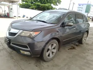 Acura MDX 2010 Gray