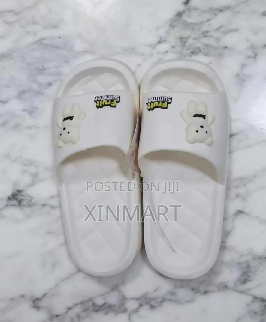 Portable Slides