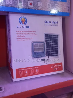 Z.L Shidiai 100w Ip67 Solar Street Light