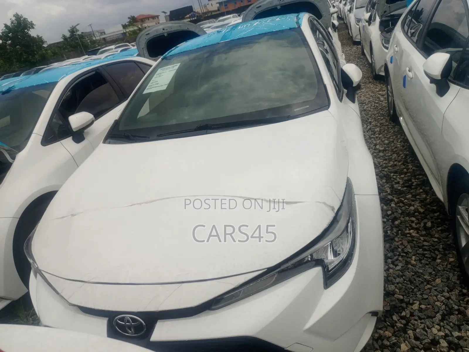 Toyota Corolla 2022 White