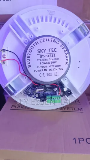 Bluetooth Ceiling Speaker