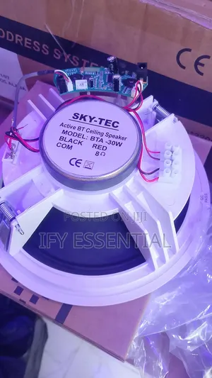 Bluetooth Ceiling Speaker