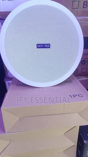 Bluetooth Ceiling Speaker
