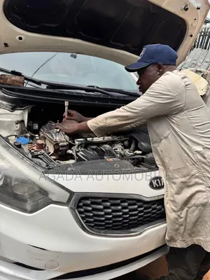 Kia and Hyundai Specialist