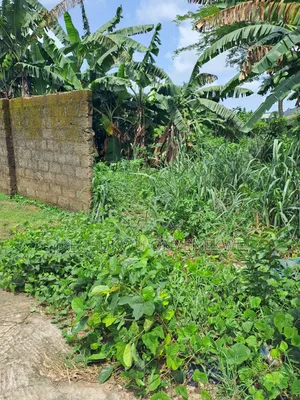 Land For Sale At Omagwa, Ph