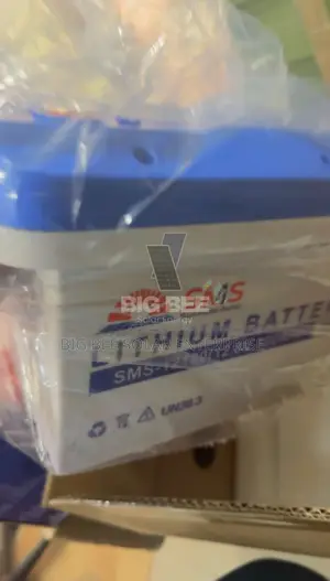 1.2kwh 12v 100ah SMS Lithium Ion Battery
