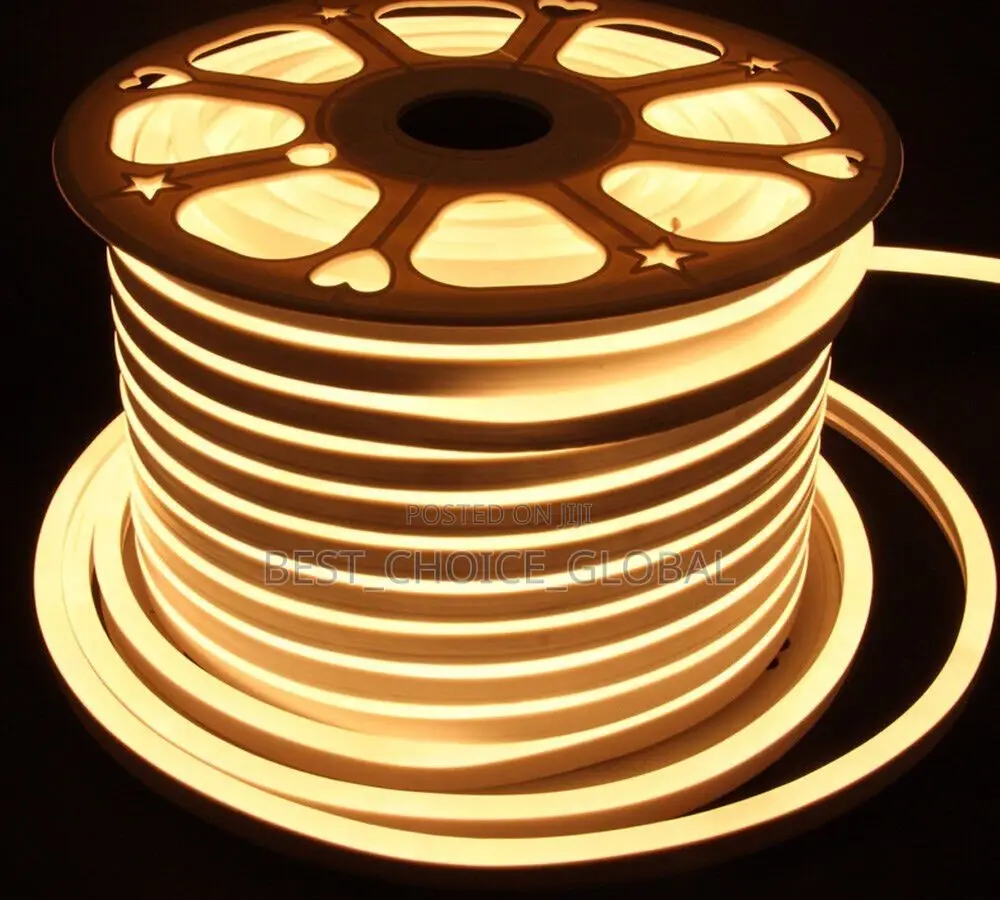 Neon Rop Light