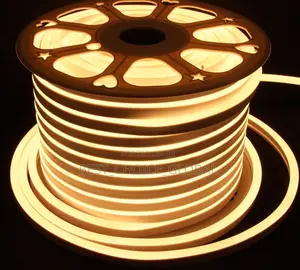 Neon Rop Light