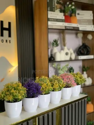 Potted Flowers