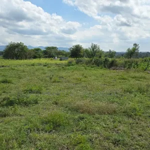 Ikorodu - Shagamu Land Sales
