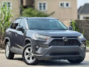 Toyota RAV4 XLE AWD 2020 Gray