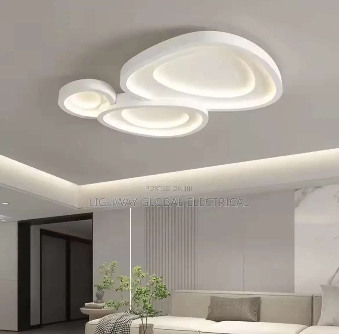 Luxury Ceiling Flosh Light