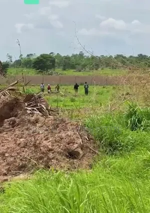 50x100sq :Meter: Land for Sale in Ukwulu Anambra State
