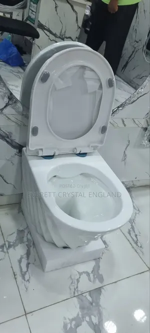 Classic Wall Hung Water Closet