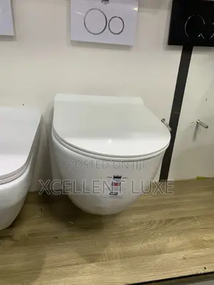 High Quality Conceal Water Closet (Wc)