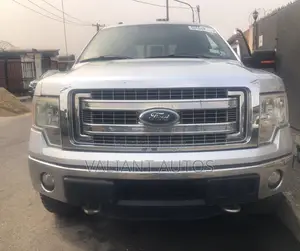 Ford F-150 2013 Silver