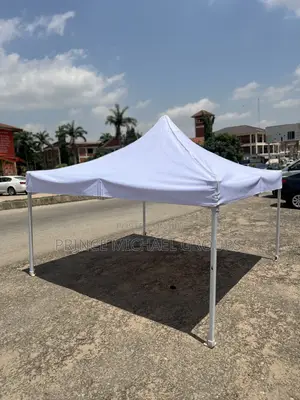 10ft By 10ft Collapsible Canopy