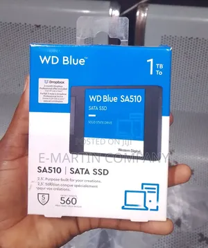 Wd Blue Sa510 1tb