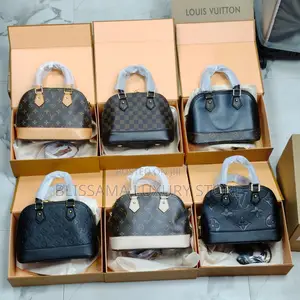 Louis Vuitton Luxury Female Handbag – Stylish, Durable Affordable