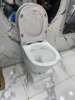 Premium England Concealed Wc