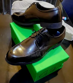 Clarks Men's Shoe