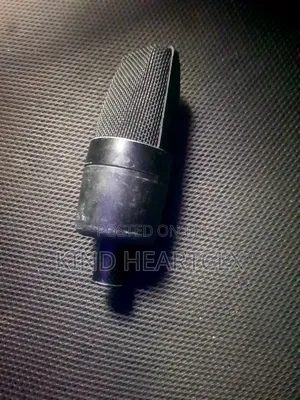 Magneto - Se Studio Condenser Microphone