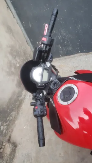 Kawasaki 2013 Red