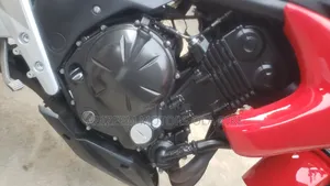 Kawasaki 2013 Red