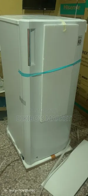 Original Lg Upright Freezer for Ice Block