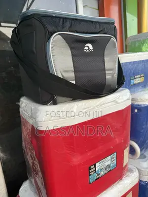Cooler Bag