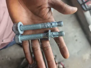 12*100 Wedge Anchor Bolt and Nut