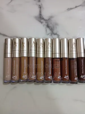 Adventure Blend Pro Concealer