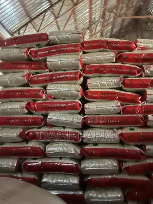 Local White Rice