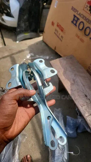 Bonnet Hinges Sienna 2012