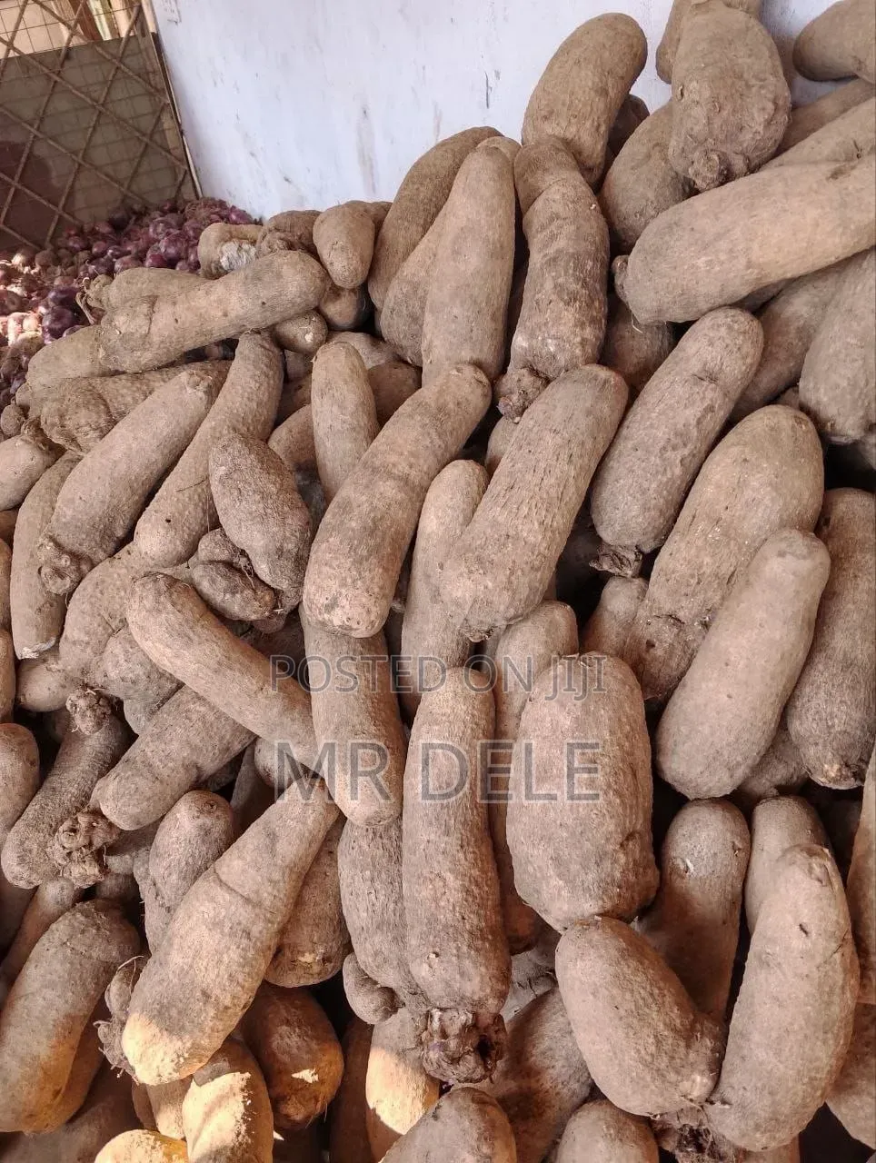 Benue Yam Tubers, Yam Seedlings