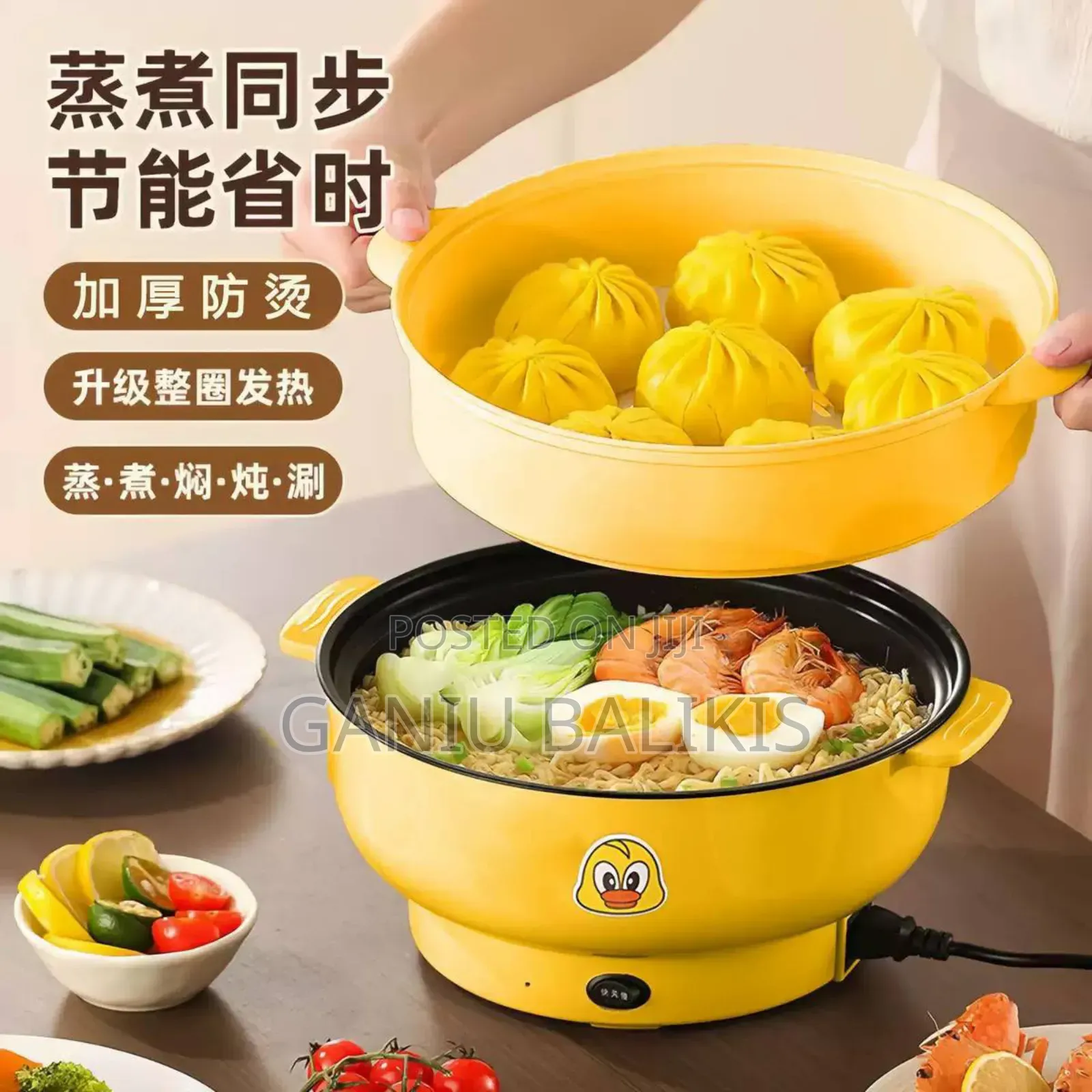 4l Electric Pot