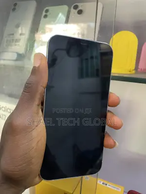 Apple iPhone 12 Pro Max 256 GB White