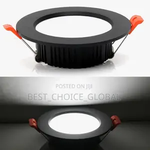 Ceiling Spot Light Black Body