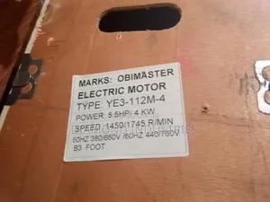Electric Motor