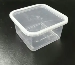 Thick Microwave-Safe Takeaway Plate – Event Catering Restaurants