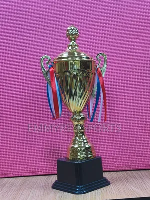 Beautiful Trophy Cups For Winners, Champions Award Ceremonies